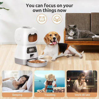 Pet Basics