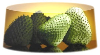 The Soursop Vision: From Humble Beginnings to a Mission Worth Building Together