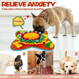Pet Interactive Puzzle Toys