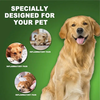 Powerful Pet Urinary Tract Infection Care