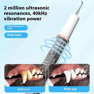 Household Pet Tooth Cleaning Care Kit