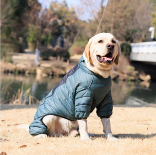 Large Pet Warm Down Coat