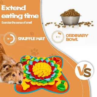 Pet Interactive Puzzle Toys