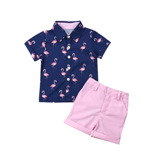 Toddler Boy Short Sleeve Shirt Set