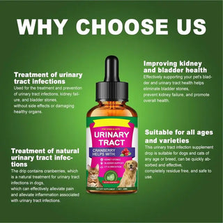 Powerful Pet Urinary Tract Infection Care