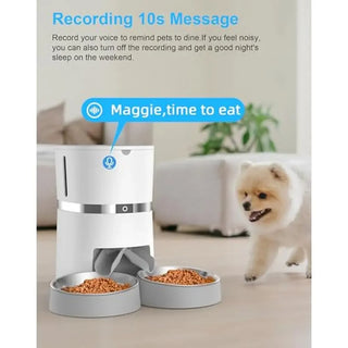 Automatic Dual Bowls Pet Feeder