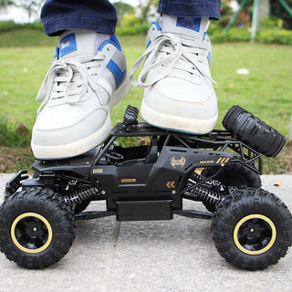 RC 4WD Off Road Car