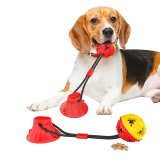 Pet Interactive Teeth Cleaning Chewing Toys
