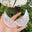 10cm