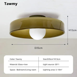 Interior Ceiling Glass Lighting Fixture