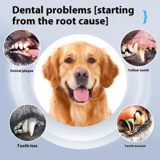 Household Pet Tooth Cleaning Care Kit