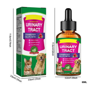 Powerful Pet Urinary Tract Infection Care