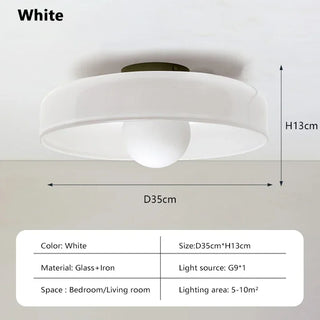 Interior Ceiling Glass Lighting Fixture