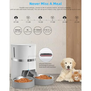 Automatic Dual Bowls Pet Feeder