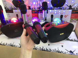 Portable family microphone with speaker and echo control

