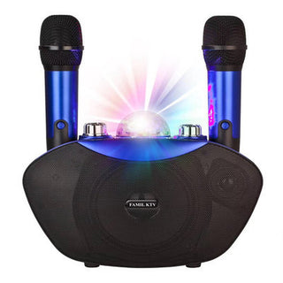 Wireless KTV microphone for family karaoke nights

